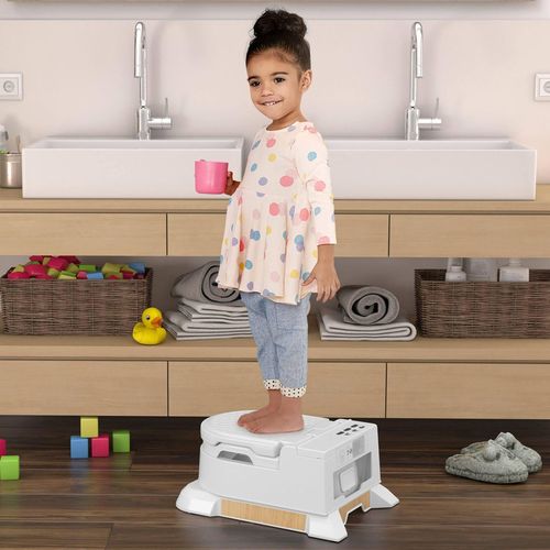 купить Детский горшок Fisher Price HBX68 в Кишинёве 