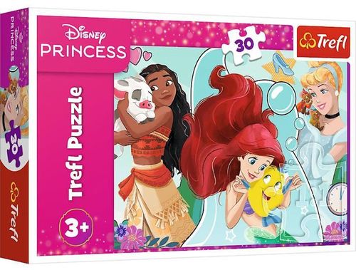 купить Головоломка Trefl 18323 Puzzles 30 Beautiful and brave, Disney Princess в Кишинёве 