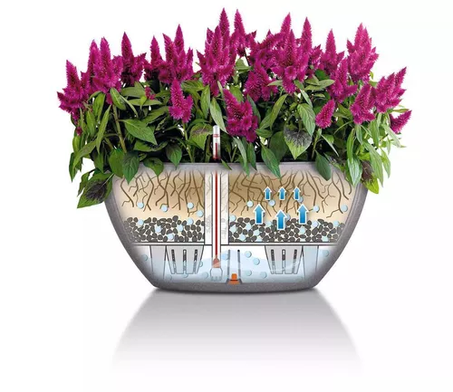 cumpără Ghiveci pentru flori Lechuza Cubeto Color 40, Graphite Black în Chișinău 