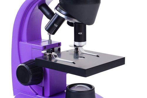 cumpără Microscop Levenhuk Rainbow 50L Amethyst în Chișinău 