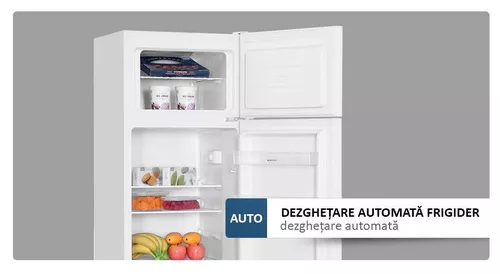 купить Холодильник с верхней морозильной камерой Albatros FA283E (White) в Кишинёве 