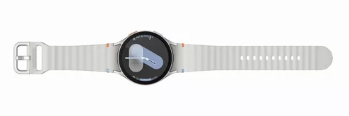 cumpără Ceas inteligent Samsung L310 Galaxy Watch7 44mm Silver în Chișinău 