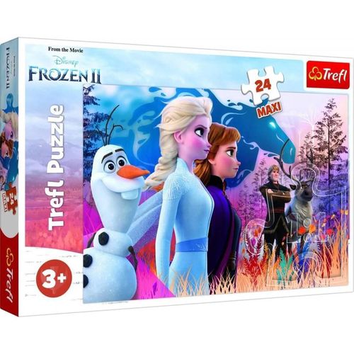 купить Головоломка Trefl 14298 Puzzles - 24 Maxi - Magical journey / Disney Frozen 2 в Кишинёве 