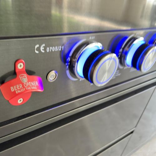 купить Мангал ArtFlame B-ZH601-1-BG pe gaz din otel inoxidabil в Кишинёве 