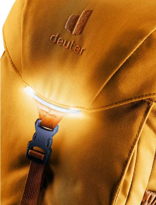 cumpără Rucsac pentru copii Deuter Waldfuchs 14 amber-maple în Chișinău 