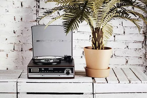 купить Проигрыватель виниловый Camry CR 1168 в Кишинёве 