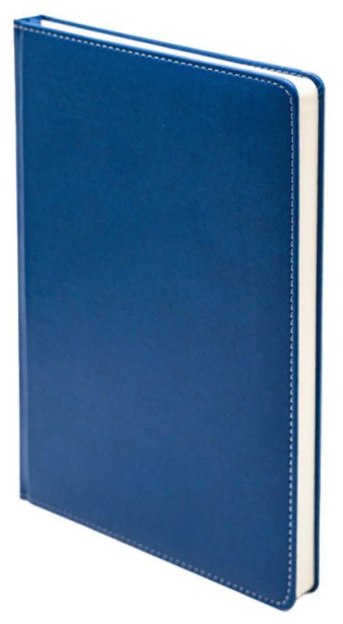 cumpără Carnet IDEE Agenda nedatata B5 Premium Matte Blue (ID.1967) în Chișinău 