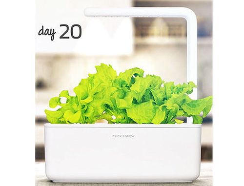 купить SMART HOME GREEN LETTUCE REF. GLETT-REFILL-3 CLICK&GROW в Кишинёве 
