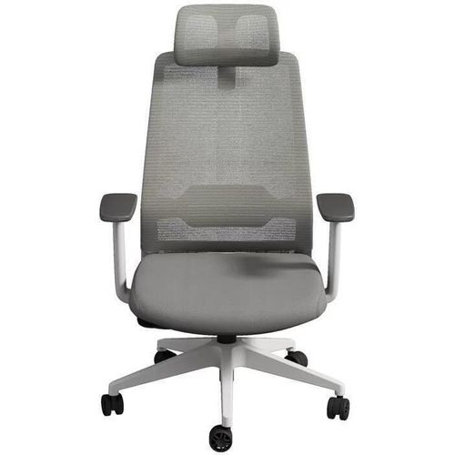 купить Офисное кресло Deli CDBD04, сетка и обивка, серое в Кишинёве 
