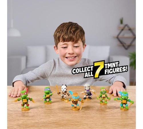 купить Игрушка miscellaneous 41745M Treasure XTMNT Blind Bag в Кишинёве 