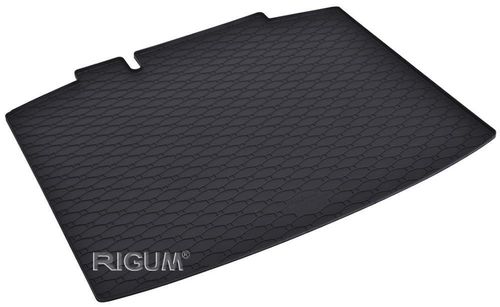 купить Коврик для автомобиля Rigum Skoda Rapid 2013- Spaceback (RKK) в Кишинёве 