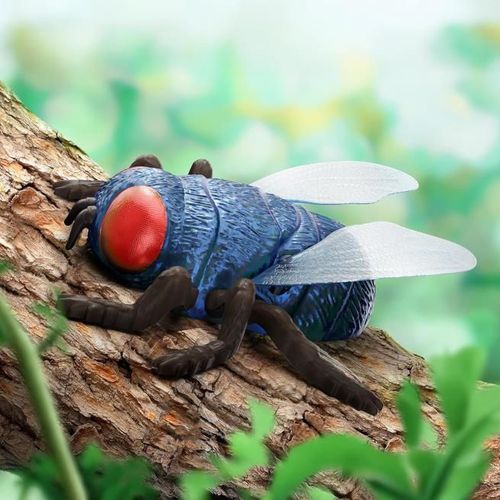 купить Радиоуправляемая игрушка Battat AN2945Z Musca albastra cu T/C, 2051D в Кишинёве 