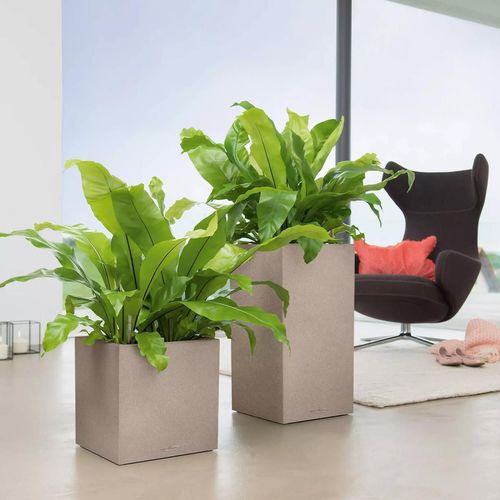 cumpără Ghiveci pentru flori Lechuza Canto Color Tower 30, Sandy Beige în Chișinău 