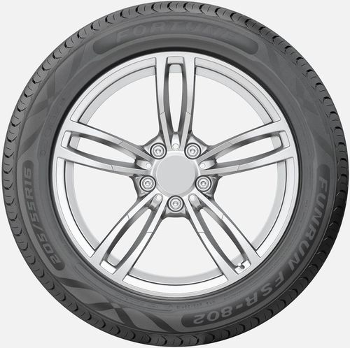 купить Шина Fortune 195/65 R15 91H FSR-802 LW в Кишинёве 