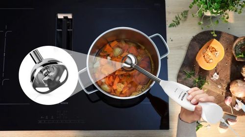 купить Блендер погружной Bosch MSM24100 в Кишинёве 