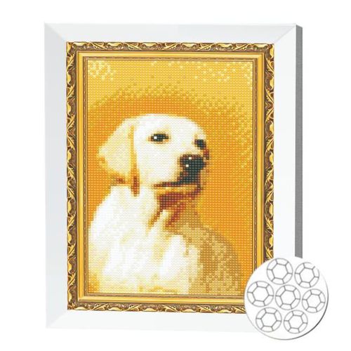 купить Картина по номерам Art Gallery JS28250 Mozaic cu diamante 20x30cm Labrador в Кишинёве 
