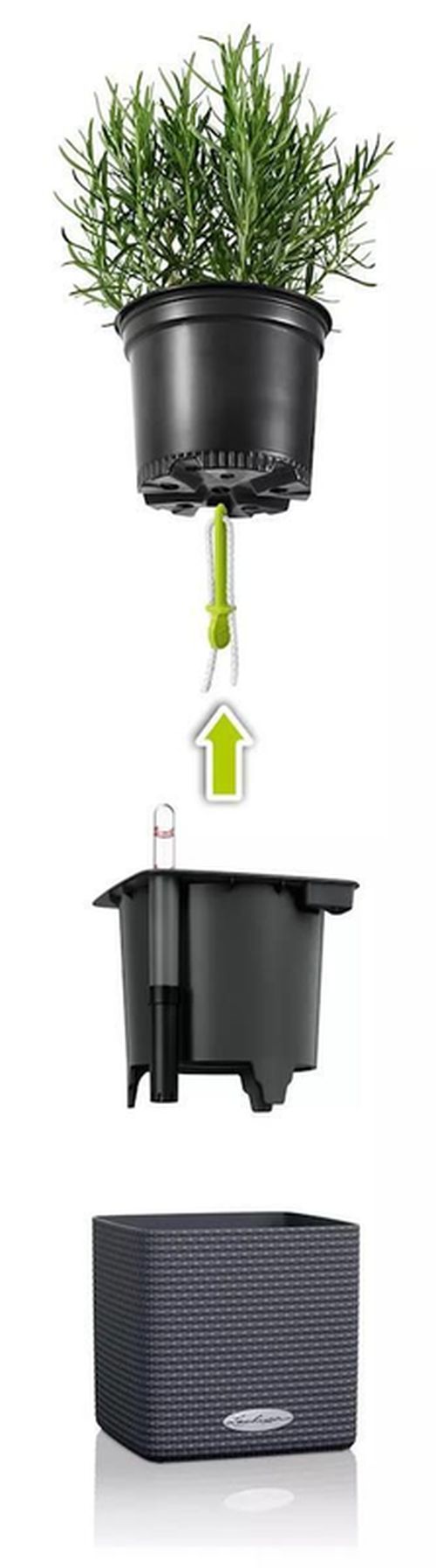 купить Цветочный горшок Lechuza Cube Color 14, Sand Brown в Кишинёве 