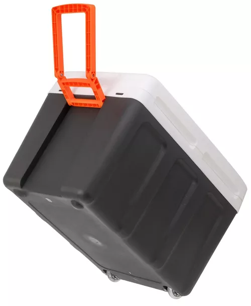 купить Холодильник портативный Adler AD 8090 в Кишинёве 