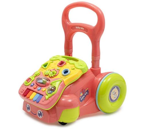 купить Ходунок Baby Mix 53215 ходунок-толкатель розовый музыкальный в Кишинёве 