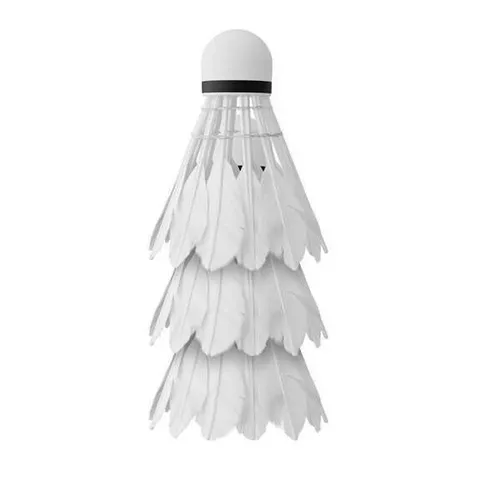 cumpără Echipament pentru badminton miscellaneous 6581 Fluturasi badminton (3 buc) pana LED -NBL6223 14-30-136 în Chișinău 