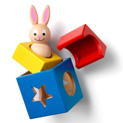 cumpără Joc educativ de masă Richi SG 037RO Bunny Boo (ro) în Chișinău 