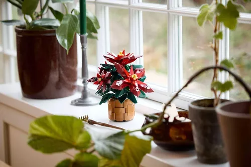 cumpără Set de construcție Lego 10370 Icons Poinsettia în Chișinău 