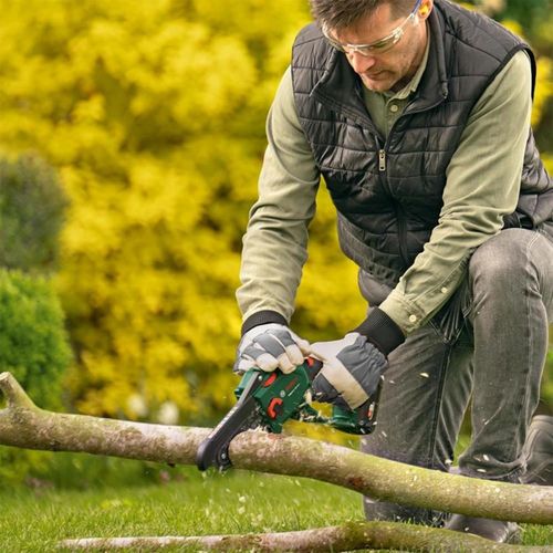 cumpără Fierăstrău Bosch 6008B8900 Pruner Saw în Chișinău 