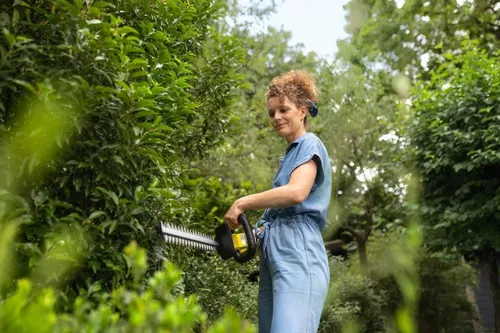 cumpără Foarfece pentru arbuști Karcher 1.445-600.0 HGE 2-18 Battery în Chișinău 