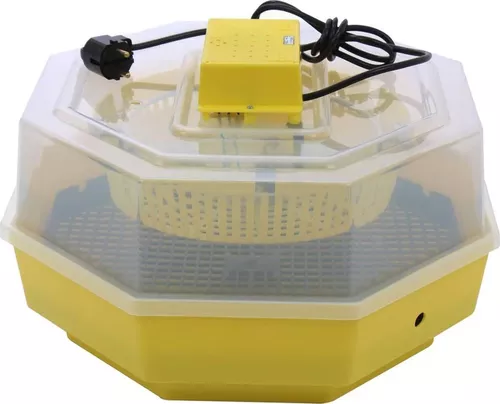 купить Товар для животных Technoworker Incubator electric CLEO 5 INC1 (84362100) в Кишинёве 