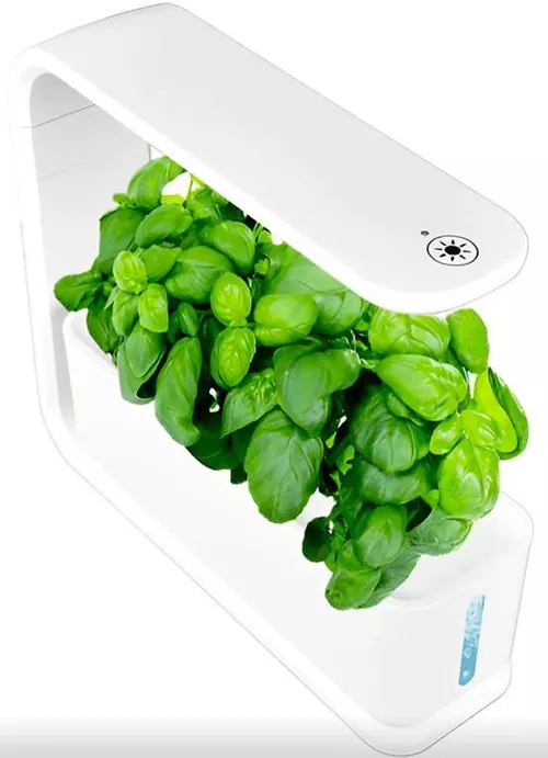 купить Смарт огород Green Grow Hydroponics growing system 3 pods, White в Кишинёве 