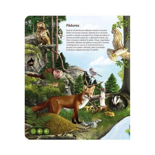 cumpără Puzzle Raspundel Istetel 69436 carte Lumea Animalelor în Chișinău 