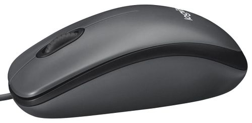 cumpără Mouse Logitech M100 Black în Chișinău 