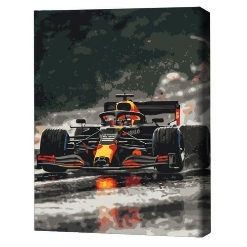 купить Картина по номерам BrushMe BS54520 40x50cm (în cutie) Formula adrenalinei в Кишинёве 