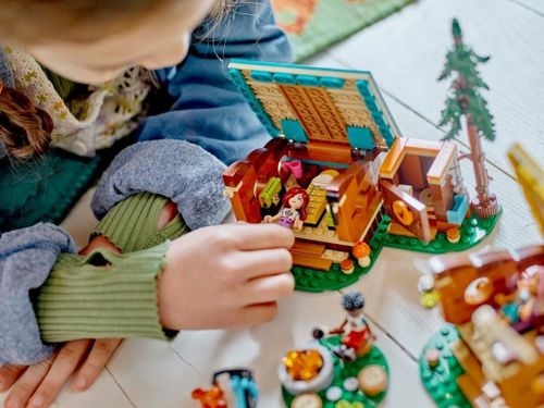 купить Конструктор Lego 42624 Лагерь приключений, уютные домики в Кишинёве 