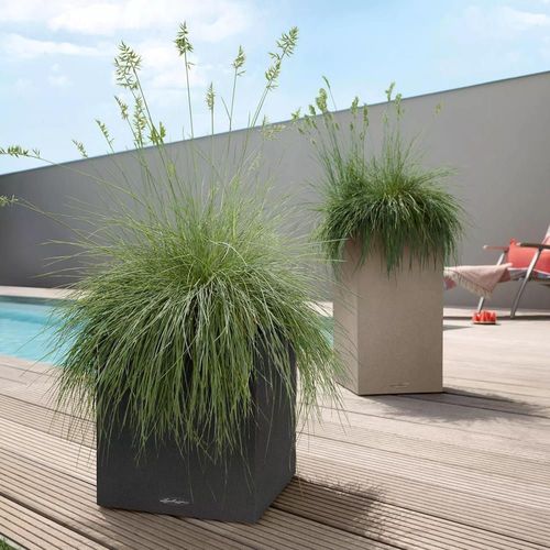 купить Цветочный горшок Lechuza Canto Color Square 40, Graphite Black в Кишинёве 