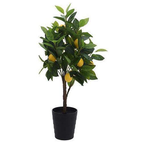 купить Садовая фигура Promstore 47510 Лимонное дерево 70cm в горшке в Кишинёве 