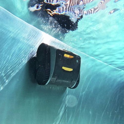 cumpără Aspirator pentru piscină Steinbach 061502Y SMART RXB 450 (fără fir) în Chișinău 