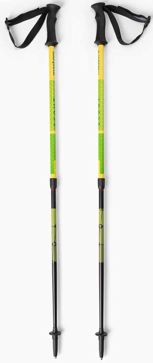купить Треккинговые палки Masters SCOUT JUNIOR (01S5219) в Кишинёве 