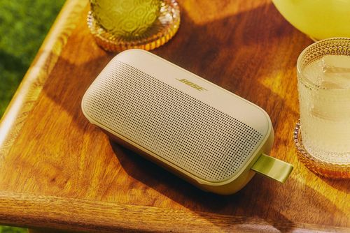 купить Колонка портативная Bluetooth Bose Soundlink Flex 2nd Gen, Citrus Yellow в Кишинёве 