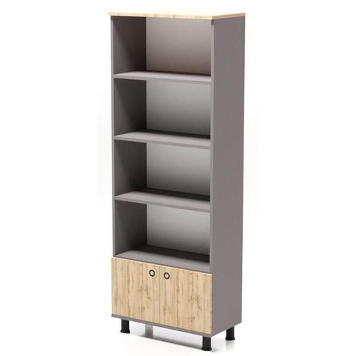 купить Офисный шкаф Smartex Maxi Графит/Дуб Тёмный в Кишинёве 