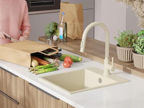 купить Мойка кухонная Primagran Riga 45 Beige + accesorii 500x430 MYBKB в Кишинёве 