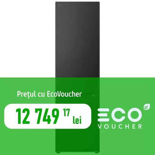 cumpără Frigider cu congelator jos LG GBV7280AEV în Chișinău 