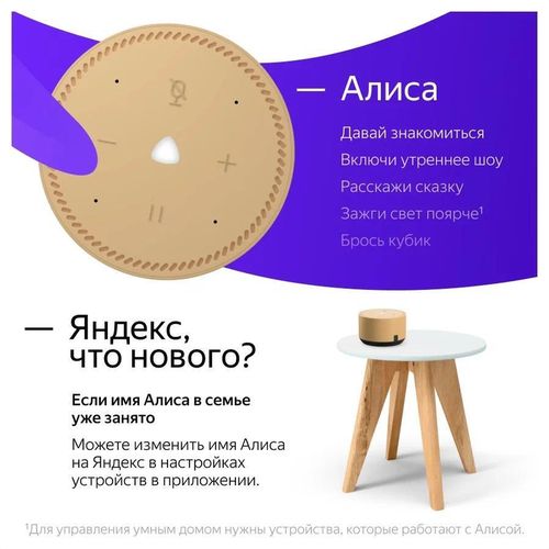 cumpără Boxă portativă Bluetooth Yandex YNDX-00025B Alisa Station Lite Beige Cappucino în Chișinău 