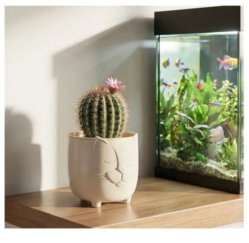 cumpără Ghiveci pentru flori Idea М3074 Basya D115mm, 0.65L, alb în Chișinău 