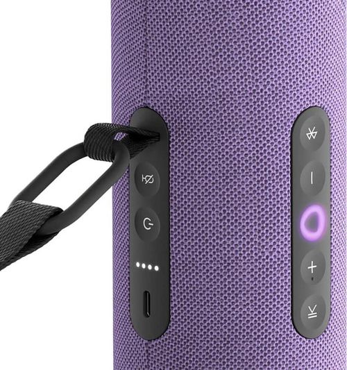 cumpără Boxă portativă Bluetooth Yandex YNDX-00030VIO Alisa Station Street Violet în Chișinău 