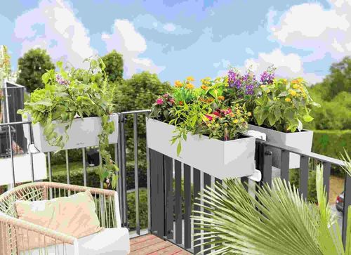 cumpără Suport pentru flori Lechuza Brackets Balconera Duo White în Chișinău 