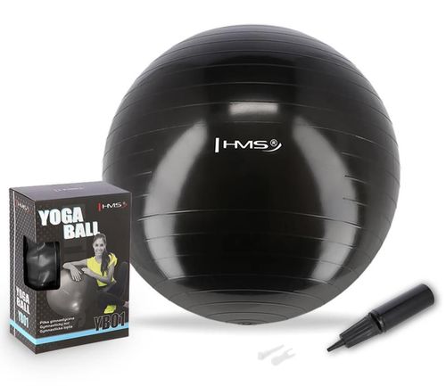 купить Мяч HMS 367 Minge gimnastica d=55cm cu pompa Black YB01 (17-42-157) в Кишинёве 