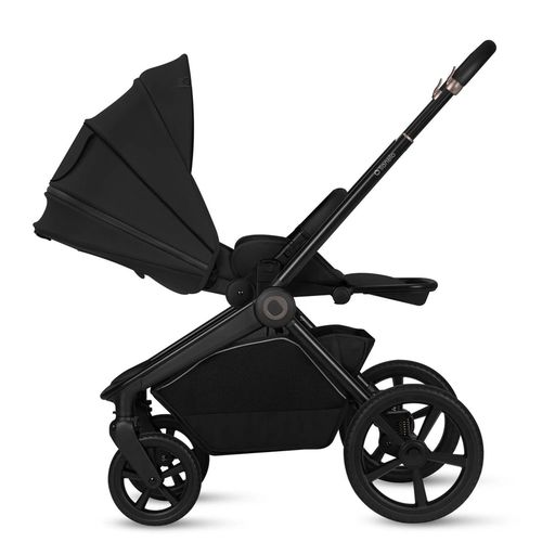 купить Детская коляска Lionelo Carucior 2in1 Freya Black Onyx в Кишинёве 