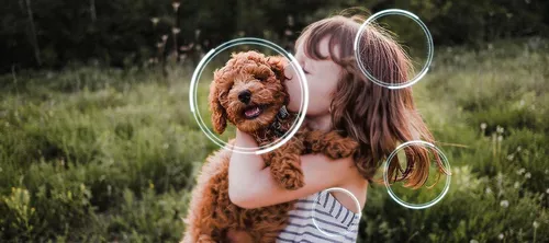 cumpără Televizor Samsung Neo QLED 4K QE65QN80FAUXUA MiniLED Vision AI în Chișinău 