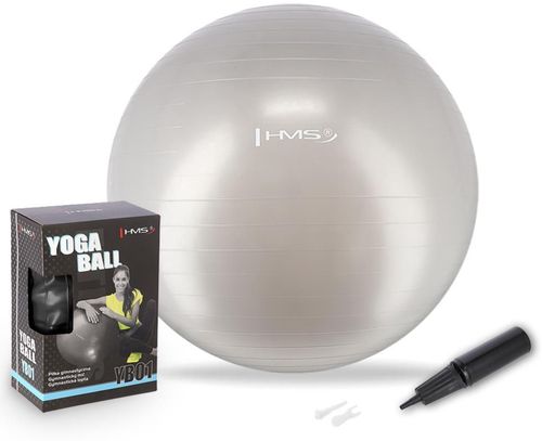 купить Мяч HMS 4823 Minge gimnastica d=65cm cu pompa Gray YB01 (17-42-161) в Кишинёве 